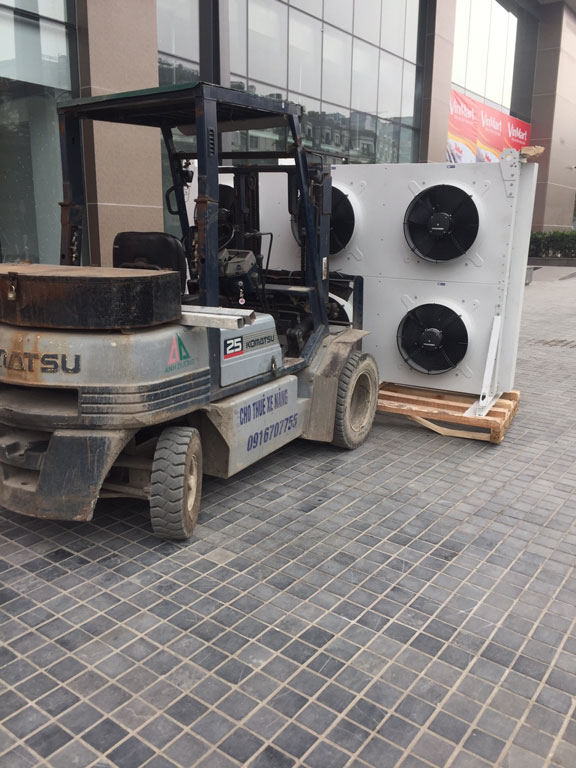 Dịch vụ cho thuê xe nâng ở Bùi Ngọc Dương